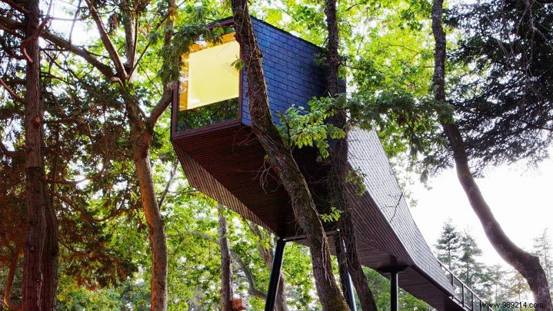 Top 10 Magical Treehouse Hotels Worldwide for Treetop Escapes