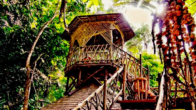Top 10 Magical Treehouse Hotels Worldwide for Treetop Escapes