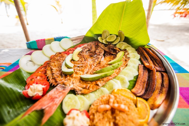 Ultimate 7-Day Puerto Vallarta Itinerary: Explore Mexico s Pacific Paradise