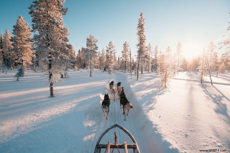 Discover Finland s Top Winter Activities Beyond Skiing