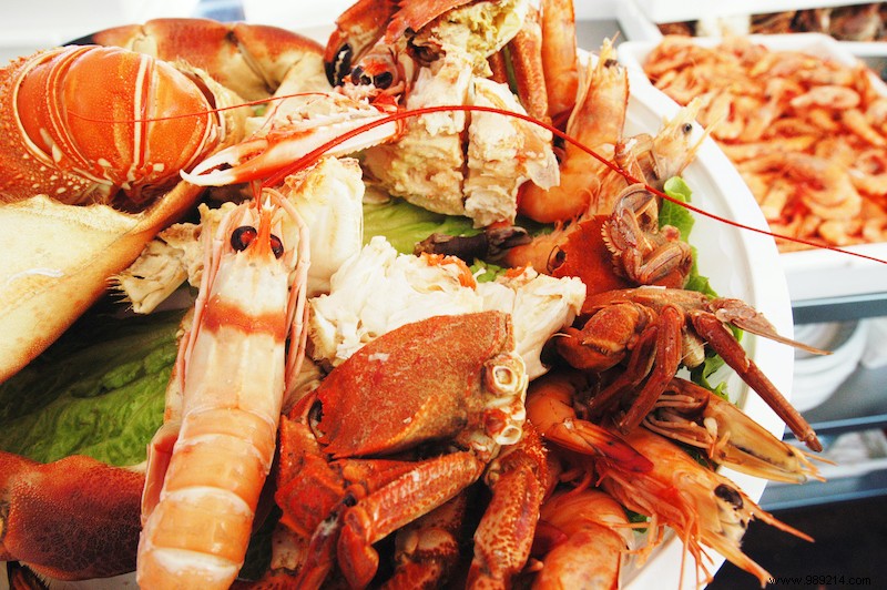 Escape to Portugal s Quintas: Authentic Farm Stays and Rural Bliss