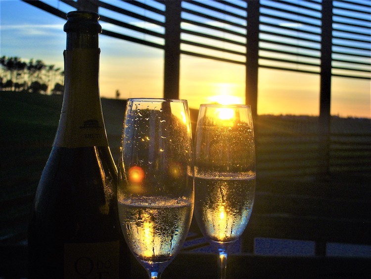 Journey Through Portugal s Seven Wine Regions: Taste the Diversity at Home