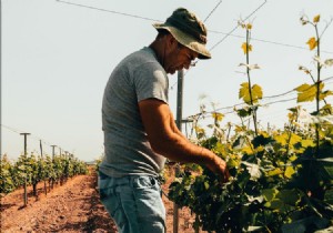 Discover Your Perfect Greek Summer Destination: Wine, Adventure, and Culture Await