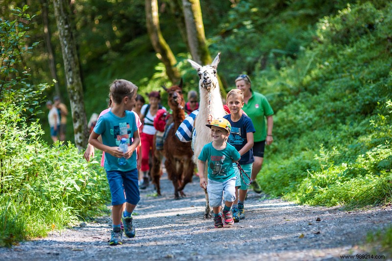 8 Compelling Reasons for a Summer Family Holiday in Zell am See-Kaprun, Austria