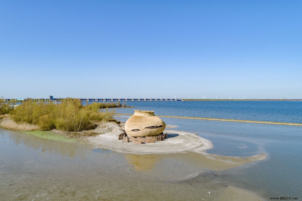 Expert-Led Late Summer Nature Adventures in the Netherlands by Natuurmonumenten