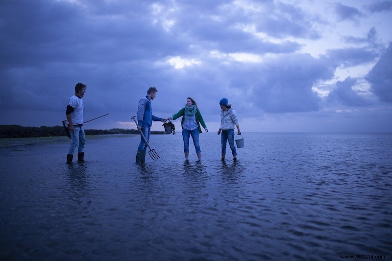 7 Unmissable Autumn Highlights in Friesland and the Wadden Islands