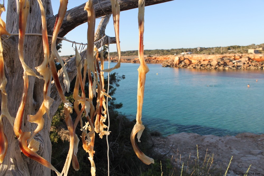 Discover Formentera s Authentic Local Products: From Peix Sec to Artisanal Wines