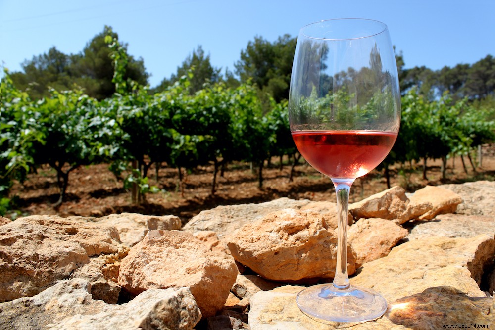 Discover Formentera s Authentic Local Products: From Peix Sec to Artisanal Wines