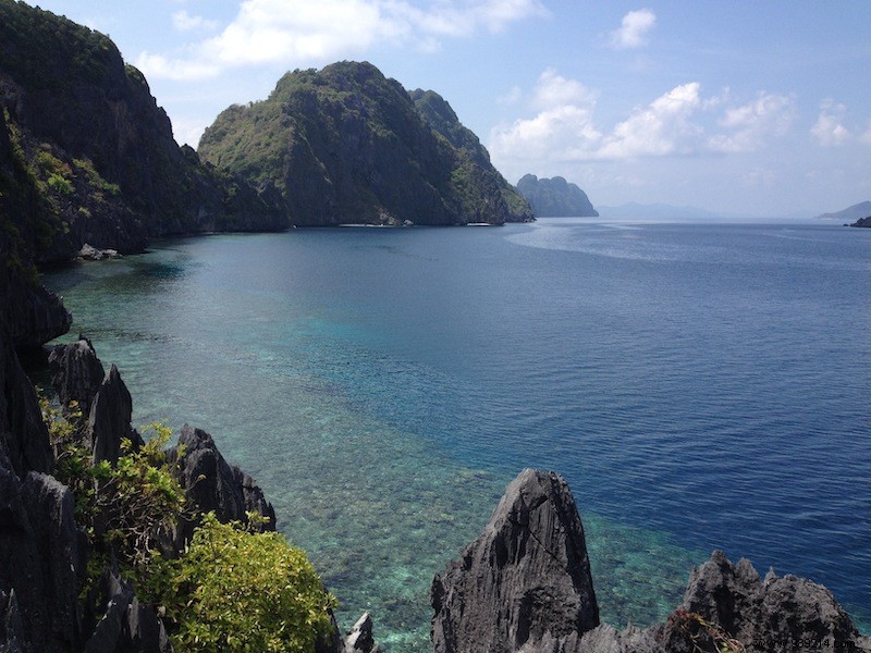 Discover 5 Unmissable Jungles: Epic Adventures in the World s Wildest Forests