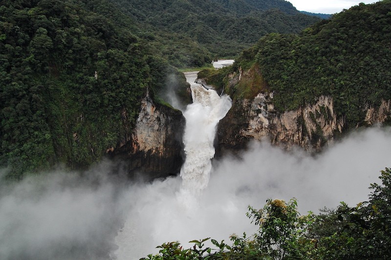 Discover 5 Unmissable Jungles: Epic Adventures in the World s Wildest Forests