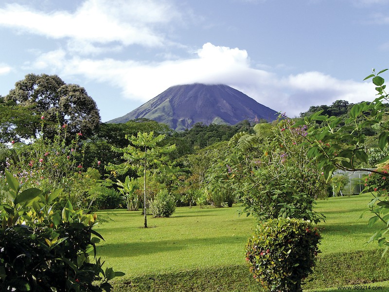 Discover 5 Unmissable Jungles: Epic Adventures in the World s Wildest Forests