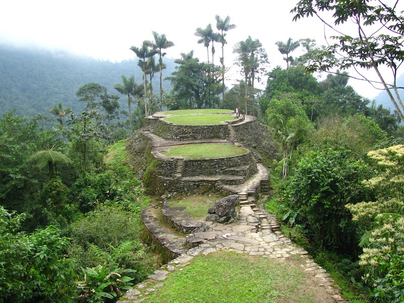 Discover 5 Unmissable Jungles: Epic Adventures in the World s Wildest Forests