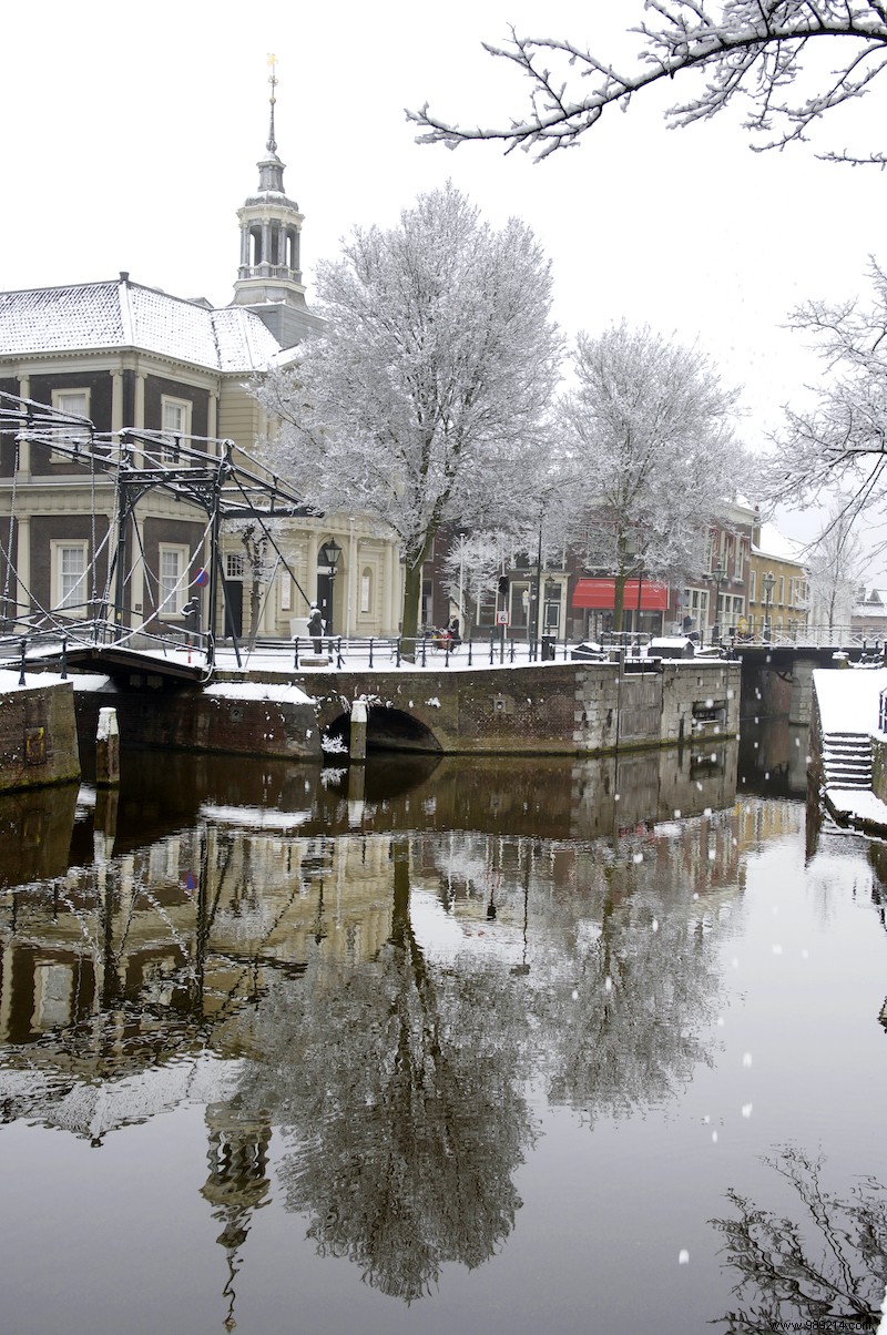 Experience Schiedam s Enchanting Winter Magic: Safe Festivities and Online Events