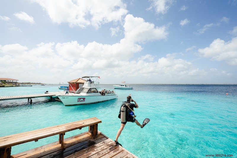7 Must-See Experiences in Bonaire: From World-Class Diving to Flamingo Wonders