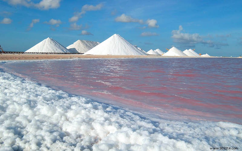 7 Must-See Experiences in Bonaire: From World-Class Diving to Flamingo Wonders