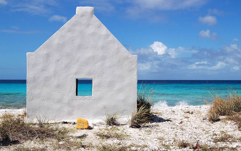 7 Must-See Experiences in Bonaire: From World-Class Diving to Flamingo Wonders