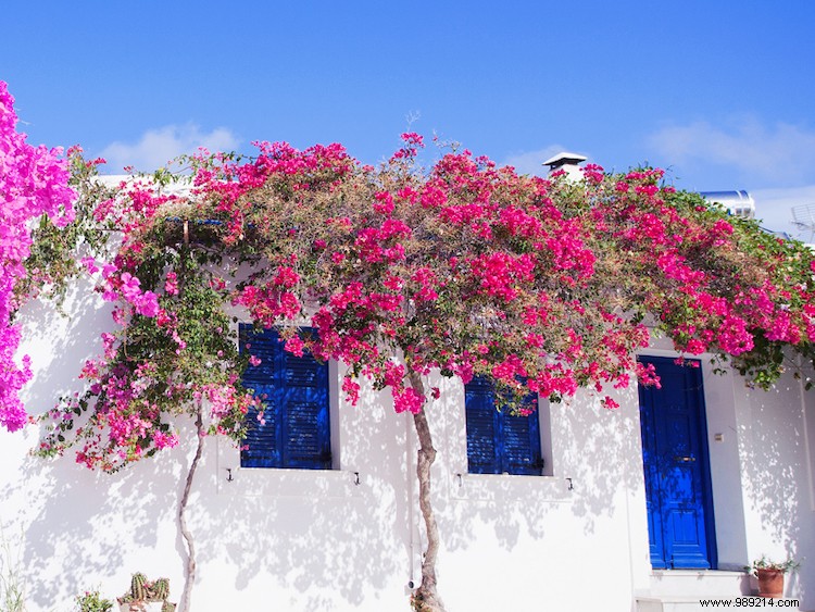 Greece s Green Revolution: Sustainable Travel Gems from Smart Hotels to Plastic-Free Islands