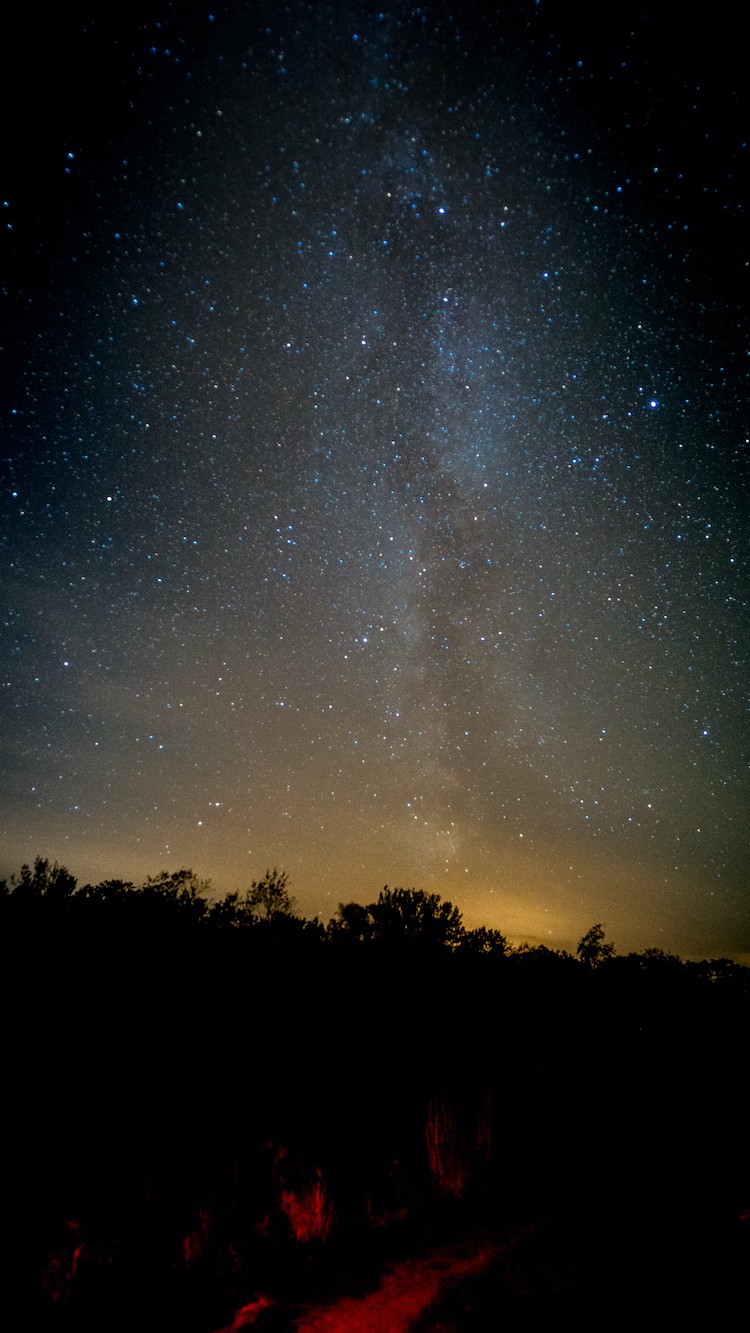 Friesland s 2021 Tribute to Its Iconic Landscapes: Top Experiences Await