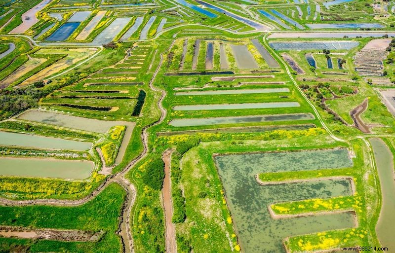 15 Stunningly Colorful Natural Wonders Around the World