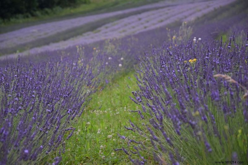 15 Stunningly Colorful Natural Wonders Around the World