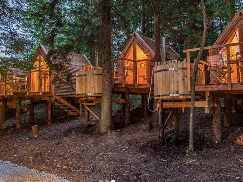 4 Surprising Slovenia Holiday Gems: Bear Watching, Vineyard Stays, Glamping & Digital Detox