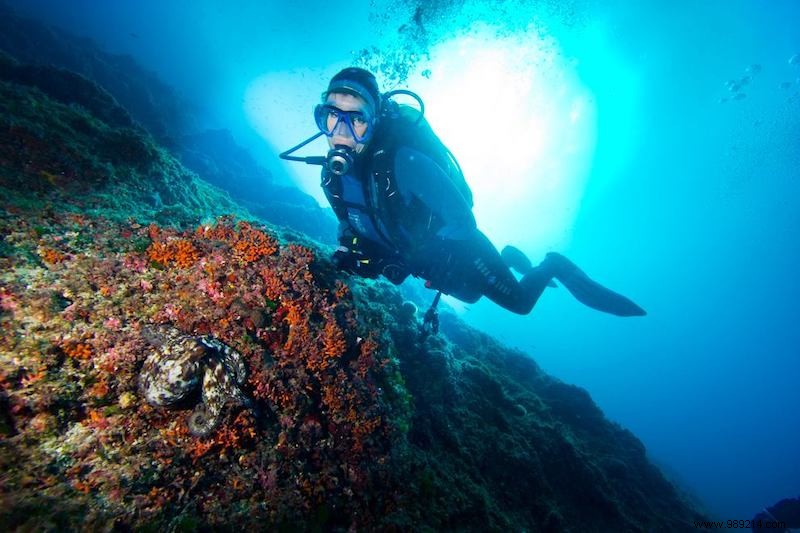 6 Expert Tips for Active Adventures in Ibiza Beyond the Party Scene