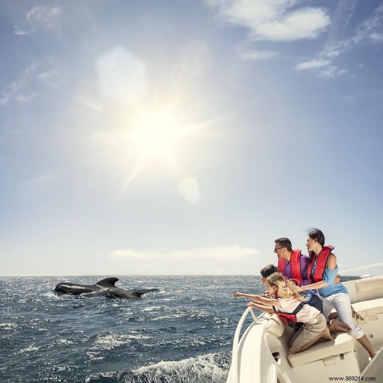 7 Compelling Reasons for a Family Holiday in the Canary Islands