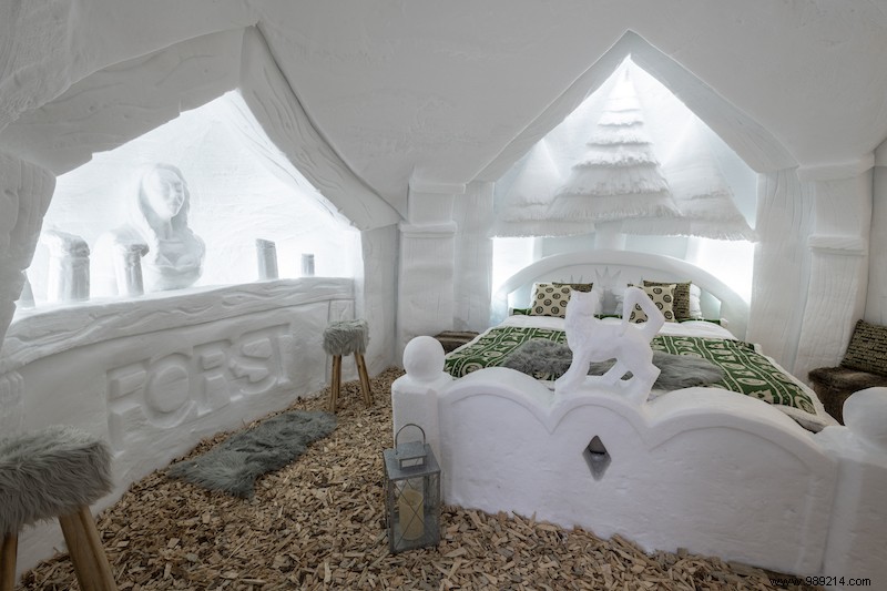 Serene Winter Escapes in Trentino: Snowshoeing, Igloos, and Dog Sledding Adventures