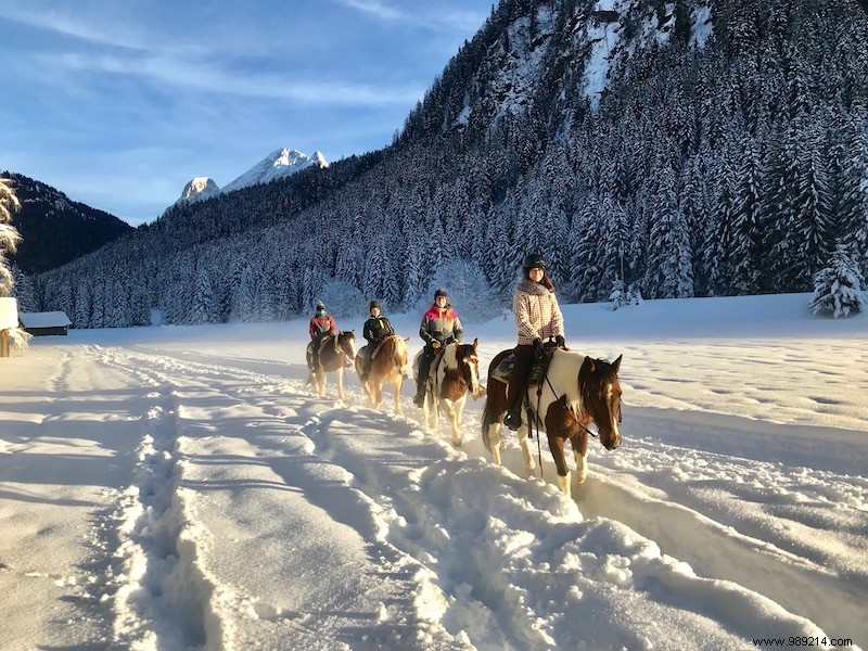 Serene Winter Escapes in Trentino: Snowshoeing, Igloos, and Dog Sledding Adventures