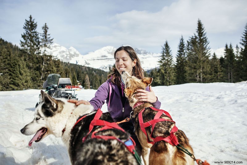 Serene Winter Escapes in Trentino: Snowshoeing, Igloos, and Dog Sledding Adventures
