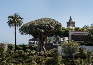 Discover 4 Iconic Historic Sites in Northern Tenerife