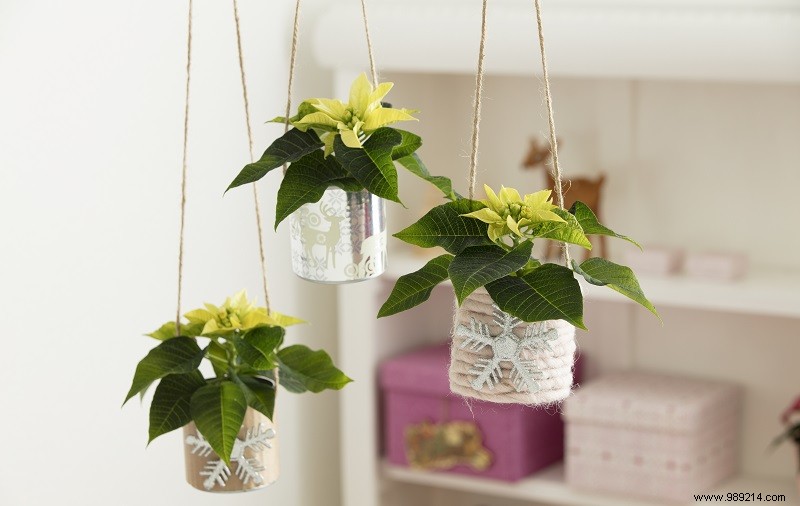5 Creative Ways to Style Poinsettias for Holiday Cheer