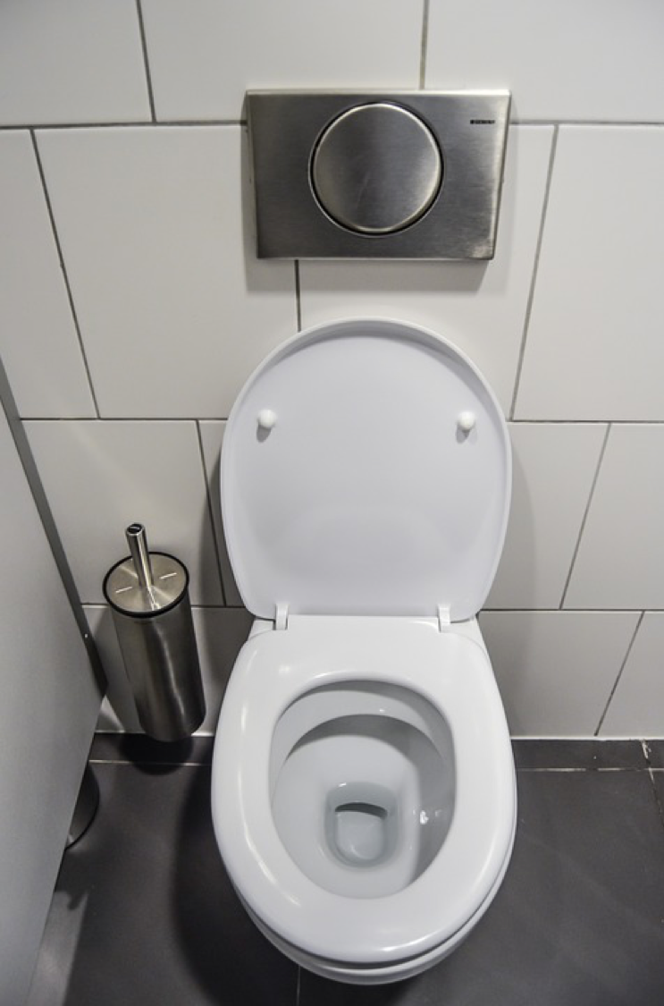 Why Every Bathroom Needs a Toilet Stool: Key Health Benefits Backed by Natural Posture Science