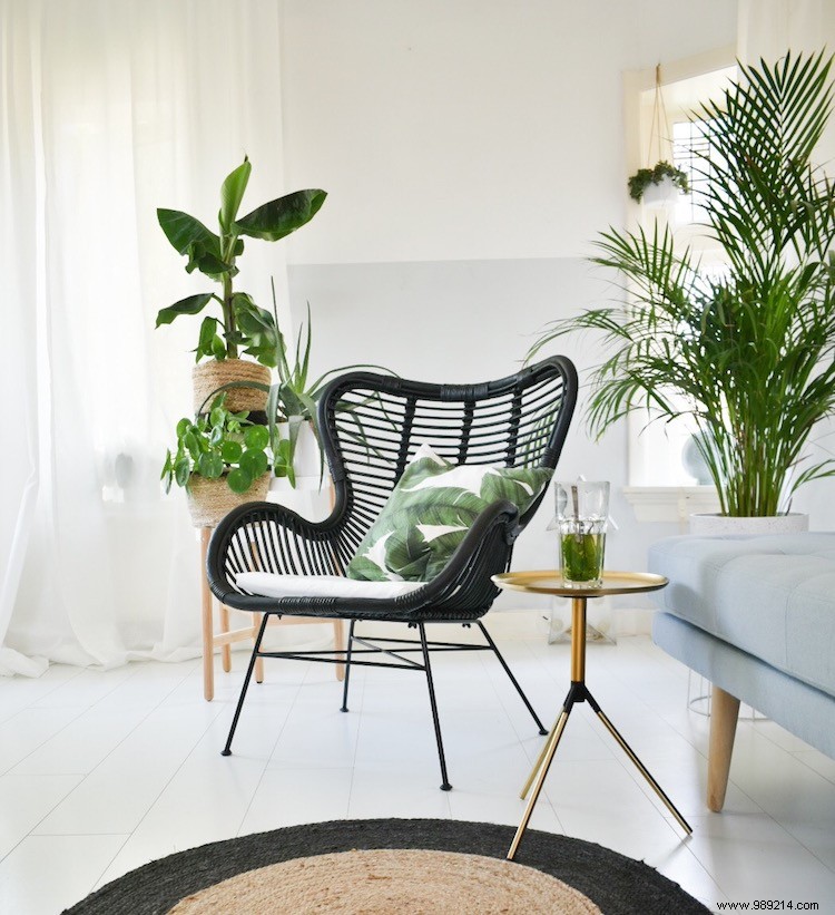 The Perfect Rattan Chair: Versatile Options for Indoor and Outdoor Living