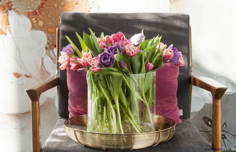 10 Expert Tulip Tips, Facts, and Ideas to Brighten Your Spring