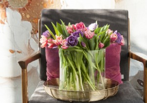 10 Expert Tulip Tips, Facts, and Ideas to Brighten Your Spring
