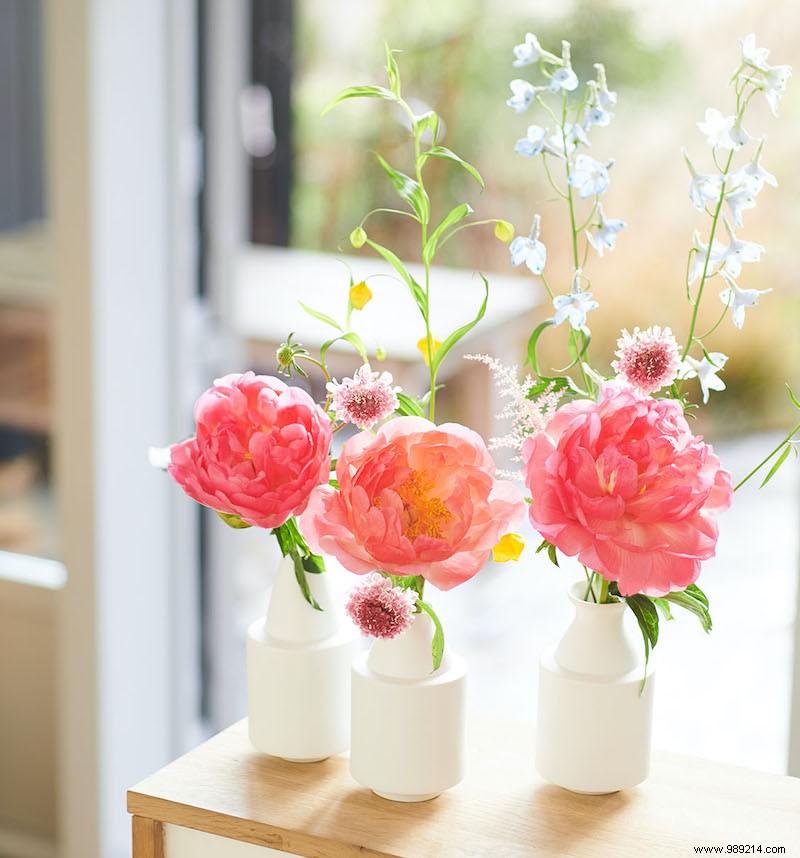 The Timeless Romance of Peonies: Lush Blooms to Elevate Your Home