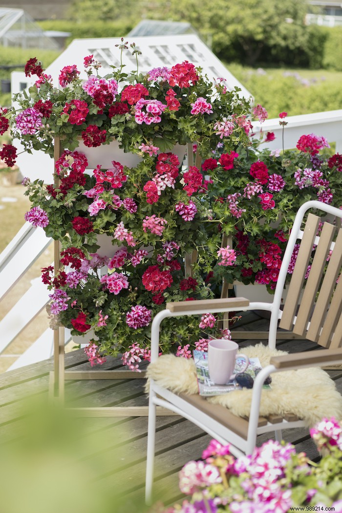 Flowering Partition Walls: Stunning Privacy Screens for Balconies and Terraces