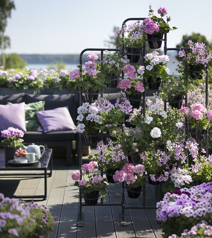 Flowering Partition Walls: Stunning Privacy Screens for Balconies and Terraces