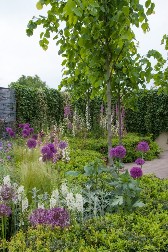 2022 Garden Trends from Tuinbranche Nederland: Fresh Start, Bright & Breezy, Traditional Sentiment