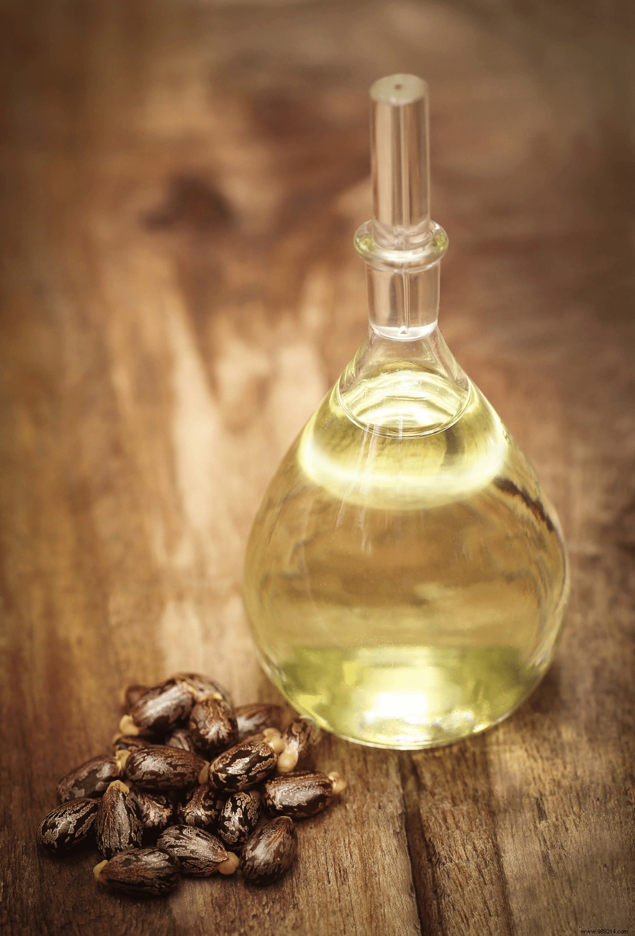 Comedogenic Oils Explained: Choose the Right Vegetable Oils for Clear, Healthy Skin