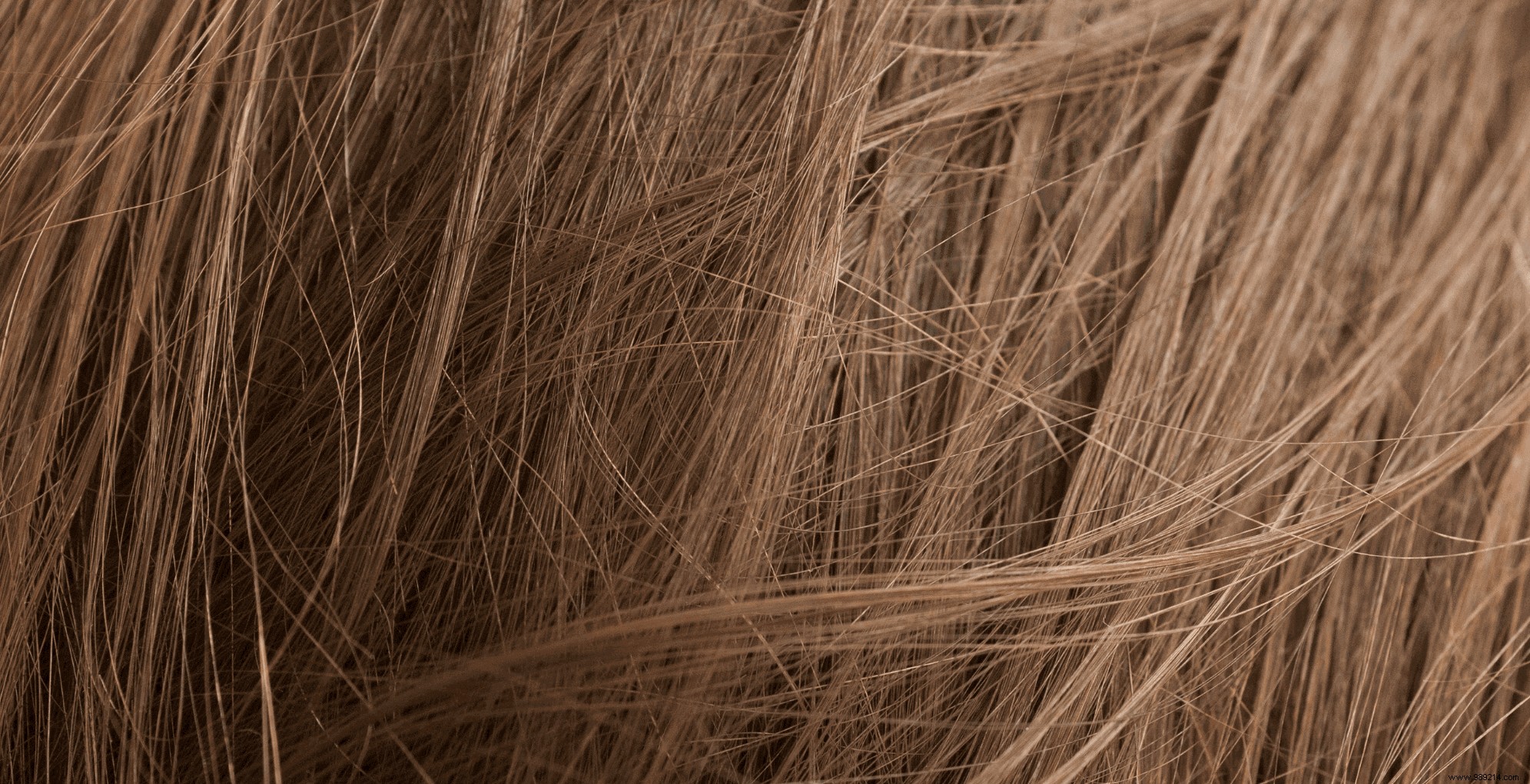 Porous Hair: Causes, How to Identify It, and Expert Tips for Deep Moisturization