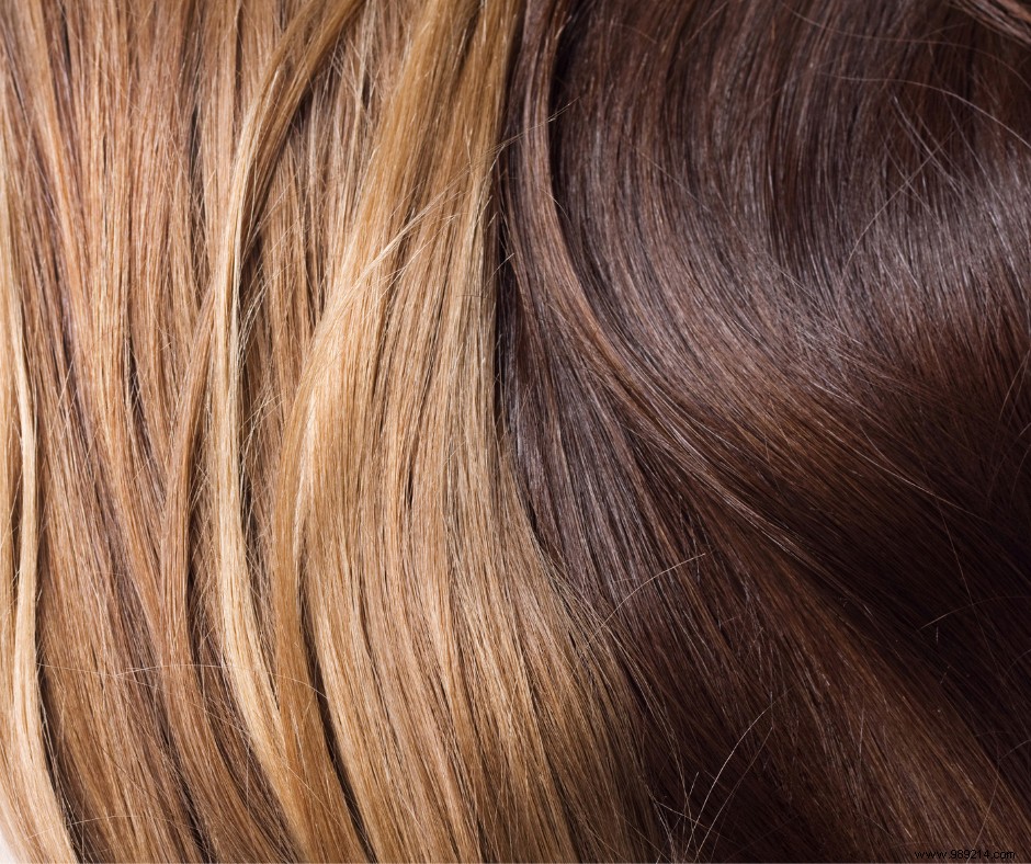How to Choose the Perfect Plant-Based Hair Color: A Complete Guide