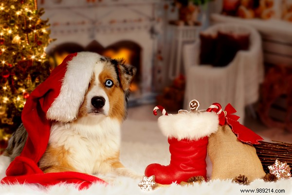 Discover NUOO s Eco-Friendly Advent Calendar: 6 Years of Sustainable Holiday Joy