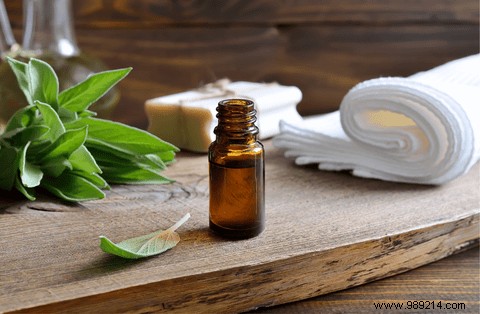 10 Reasons to Add Vegetable Oils to Your Beauty Routine