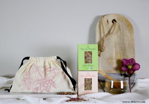 Spring Detox Elevated: Chic des Plantes Organic Infusions and Broths