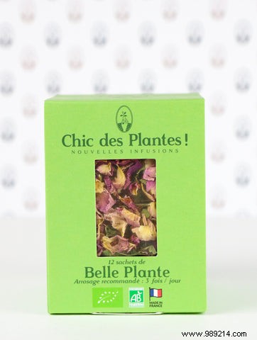Spring Detox Elevated: Chic des Plantes Organic Infusions and Broths