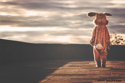 Weleda s Cruelty-Free Organic Cosmetics: Ethical Beauty That Respects Animals and Nature