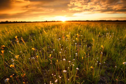 Weleda: Trusted Natural Organic Cosmetics for Face, Body, Baby Care & Wellness