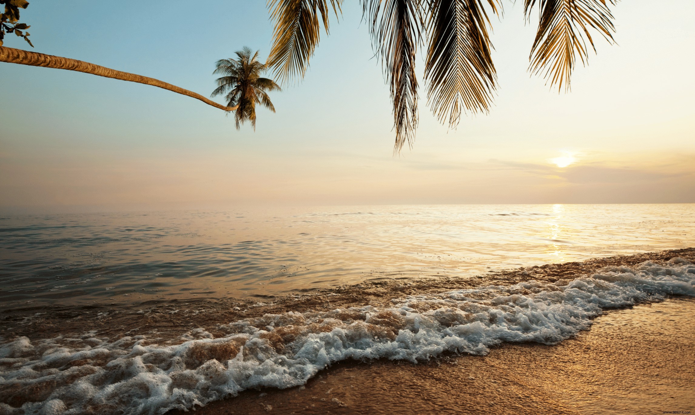 Guide to Choosing the Best Natural After-Sun Care for Your Skin Type